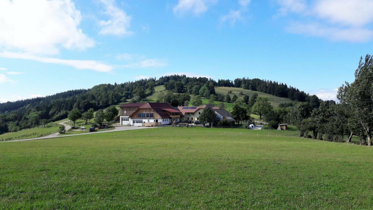 Oetscherblick Fam Winter Frankenfels Esterno foto